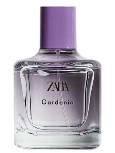 zara gardenia perfume 10ml